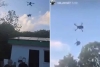 ¡Qué chistositos! En Quintana Roo, jóvenes elevan a un perro con un dron