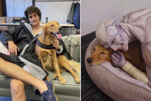Esta no es la primera vez que el también actor de “Euphoria” y “Saltburn” elogió a su compañera canina