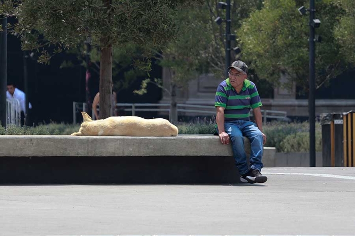 Tomando sol