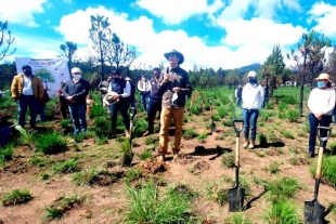 PROBOSQUE inicia trabajos de reforestación en bienes comunales de Santiago Tlacotepec