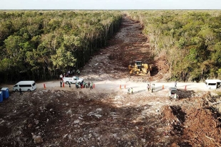 Freno a Tren Maya; juez ordena suspender construcción de Tramo 5