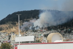 Bomberos de Toluca sofocan incendio en la Teresona
