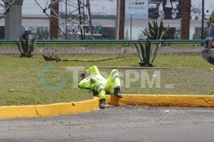 Foto: Alejandro Vargas