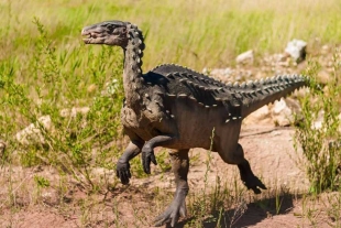 ¡Carnívoro y veloz! Identifican en Brasil una nueva especie de dinosaurio