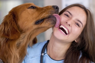 La verdadera razón por la que los perros nos lamen