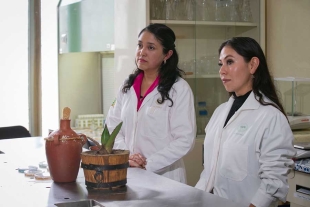 Rosa Laura Ocaña de Jesús, investigadora UAEMéx, analiza las características microbiológicas del pulque mexiquense