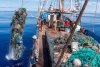 La limpieza marina más grande del mundo extrajo toneladas de plástico