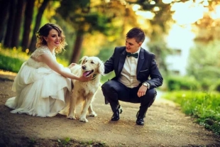 Mascotas sí, niños no; polémica invitación a boda se vuelve viral