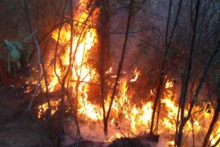 Incendios sin control en Edomex, más de 9 mil hectáreas afectadas