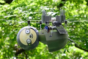 Crean robot perezoso para salvar especies en peligro