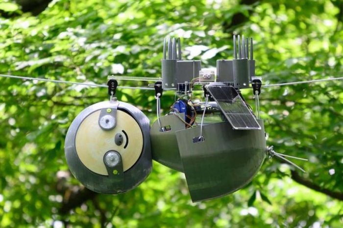 Crean robot perezoso para salvar especies en peligro