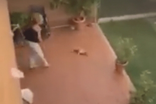 Mujer arroja contra el suelo a su mascota por “hacerse” dentro de su casa