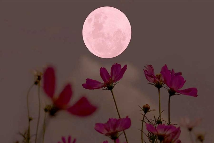 Luna Rosa, y otros espectáculos cósmicos en abril