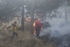 Incendios forestales controlados al 100%: Juan Maccise alcalde de Toluca