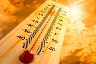 Generación  2020 tendrá que enfrentarse 7 veces más a las olas de calor