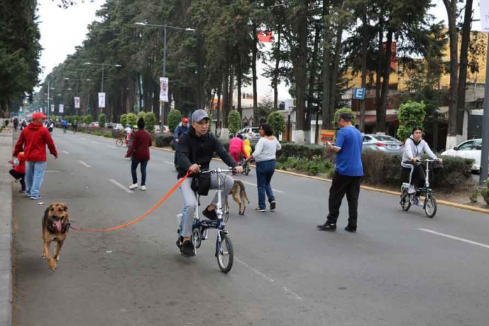 ¡Aprovecha! Regala un paseo a un perro en adopción en Toluca