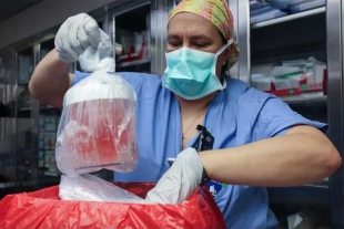 El director médico de trasplante de riñón, el doctor Tatsuo Kawai, apuntó  que “el éxito de este trasplante es la culminación de los esfuerzos de miles de científicos y médicos durante varias décadas”.