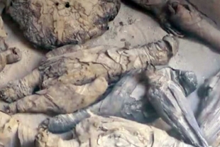 Arqueólogos descubren tumba con decenas de animales momificados