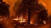 Los incendios forestales generaron 1.760 megatoneladas de carbono durante este año