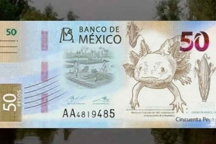 El ajolote será el protagonista de los nuevos billetes de $50 pesos