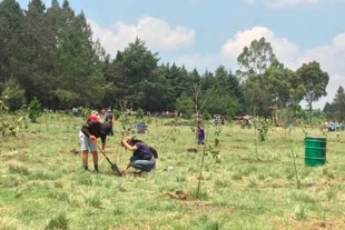 Plantarán un millón 500 mil árboles en Toluca durante 2020