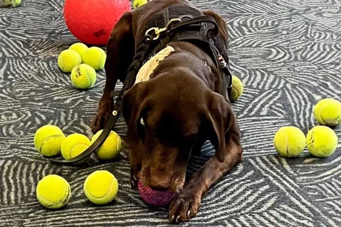 El pasado 3 de mayo, decenas de personas se dieron cita en la terminal para oficializar el retiro del canino