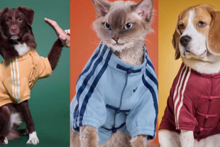 Como detalle adicional, cada artículo incluye un charm metálico con el logo del trébol de Adidas