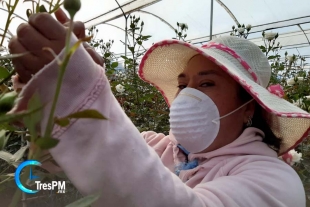 Recurren floricultores a redes sociales para tener ventas por Día de la Madre