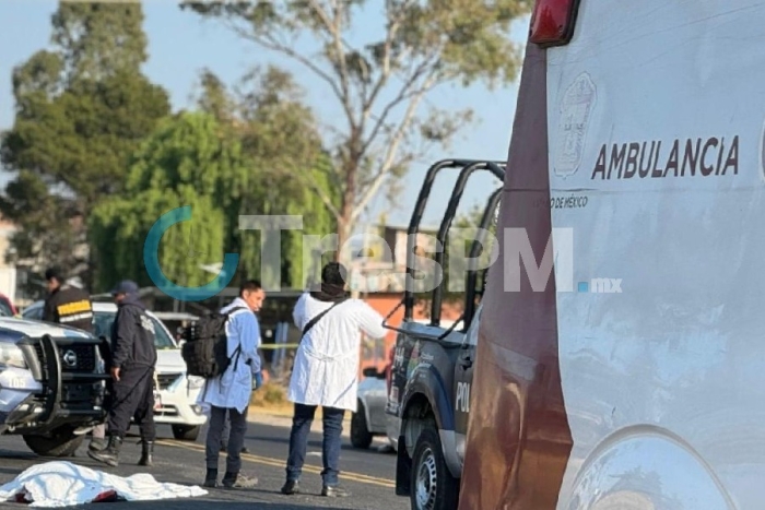 Fue en el kilómetro 22 a la altura de San Pedro La Hortaliza en el municipio de Almoloya de Juárez, donde se dio el atropellamiento