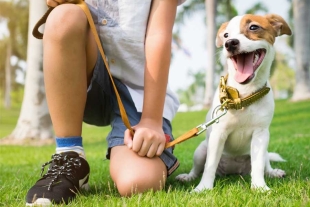 ¡Ojo! Expertos de la UNAM explican cómo descifrar lo que tu perro quiere decir