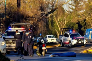 El incidente provoca carga vehicular en la zona