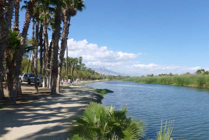 ¡En peligro! advierten que la reserva del estero de San José del Cabo puede desaparecer