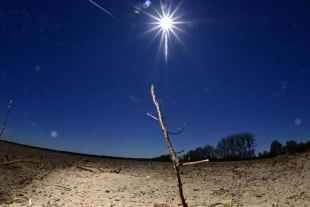 Humanidad al borde del colapso ecológico: ONU