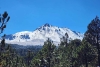 PROBOSQUE recibe certificación internacional en el manejo forestal responsable