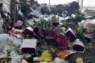 La mayoría de los floricultores que llegan a vender al mercado “Xochiquetzal” provienen de Villa Guerrero