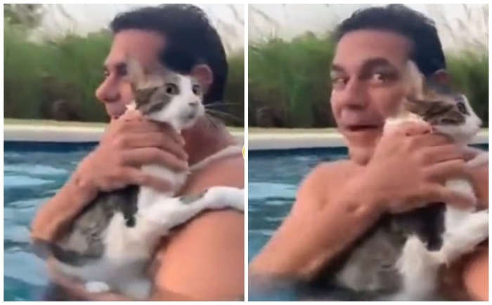 “Me ahogo”: gatito sorprende a sus dueños al pedir auxilio en una alberca