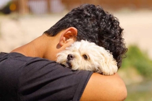 Triste despedida; migrante venezolano es obligado a abandonar a su perrita para pedir asilo en EUA