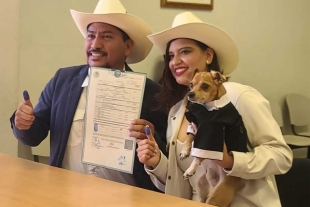 “Nos enseñó a amar”: Perrito firma como testigo en la boda de sus dueños y se hace viral
