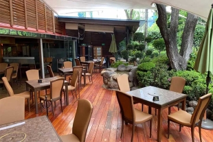 Te recomendamos 3 jardines japoneses en CDMX para comer delicioso