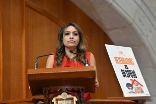 La diputada Ruth Salinas (MC) propuso castigar penalmente a servidores públicos que participen en estos delitos
