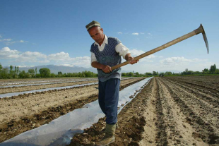 Se invirtió, principalmente, en reducir emisiones de gases de efecto invernadero