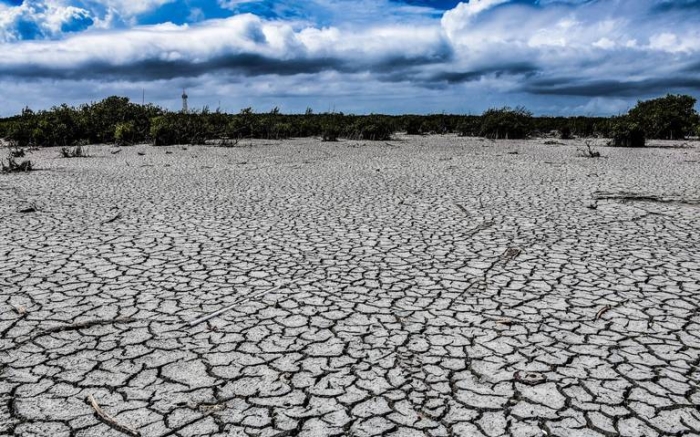 32 municipios cuentan con la categoría de Sequía Moderada; 71 con Sequía Severa; y 22 con Sequía Extrema.