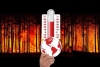 El calentamiento global ya es responsable de 1 de cada 3 muertes por calor: estudio