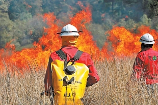 Más incendios y cada vez más letales en Edomex