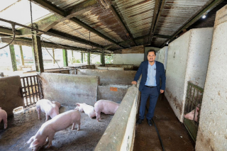 Desarrolla académico de la UAEMéx modelo para prevenir impacto económico de la Peste Porcina Africana en México