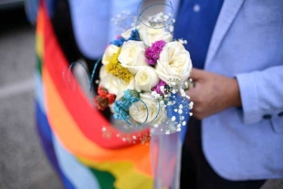 Nuevamente, el grupo parlamentario de Morena propone reconocer matrimonios y concubinatos igualitarios