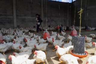 Concluyen entrega de bienes decomisados por Operación Liberación en Edoméx