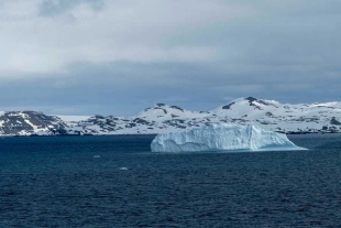 COP28: El alarmante aumento del cambio climático muestra la urgente necesidad de reducir las emisiones