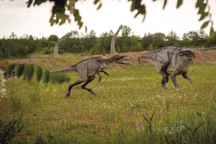 Este trabajo se centró en dos rastros de dinosaurios terópodos del Cretácico Inferior, conservados en el yacimiento de La Torre