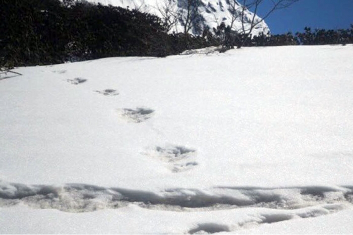 El Ejército indio muestra &#039;huellas del yeti&#039; en el Himalaya